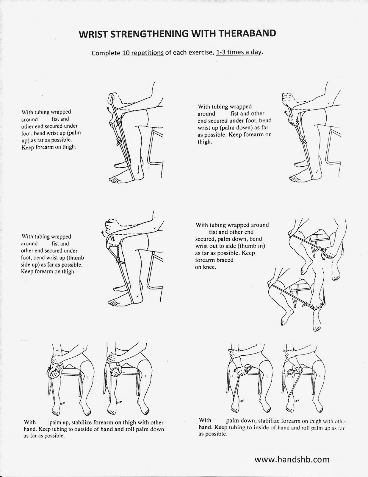 Exercise Program Upper Extremity Theraband Home Exercise Program