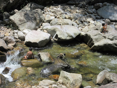 Trekking cerca de Sapa
