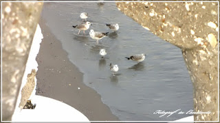 Winter Casino Constanta