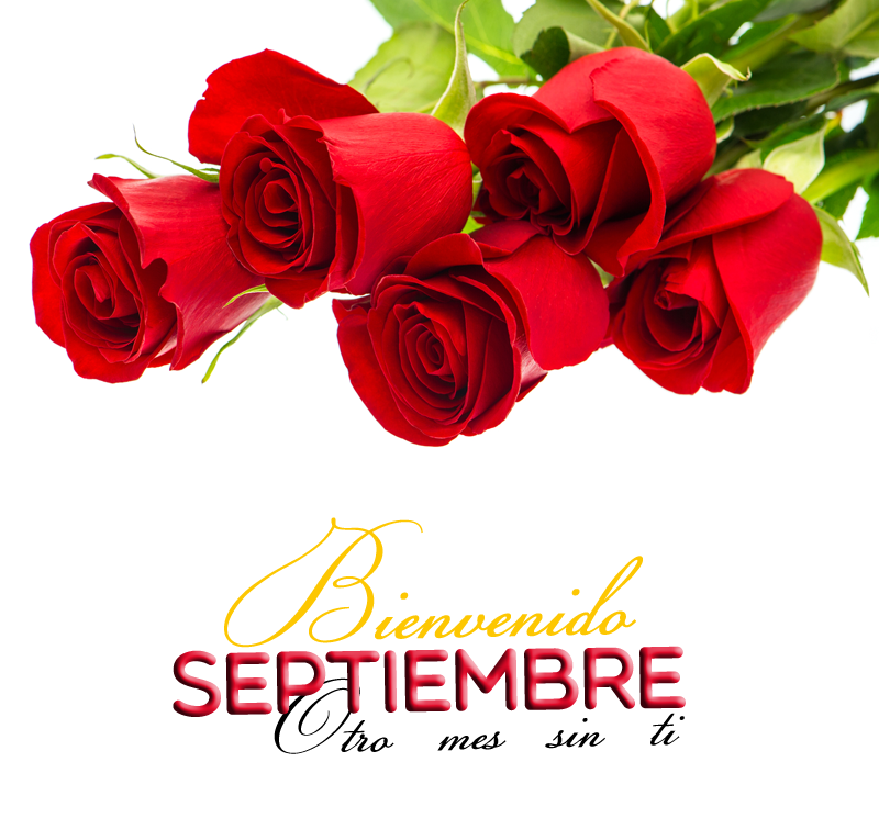 Banco de Imágenes Gratis Bienvenido Septiembre !! Mensajes para