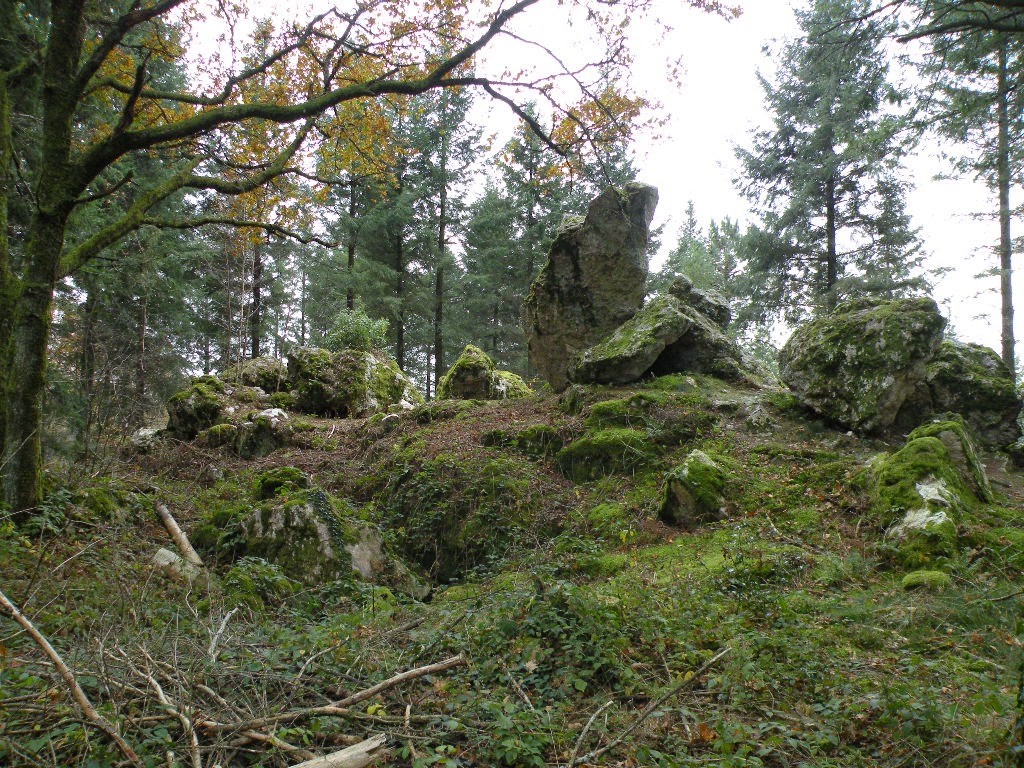 Le rocher aux oiseaux