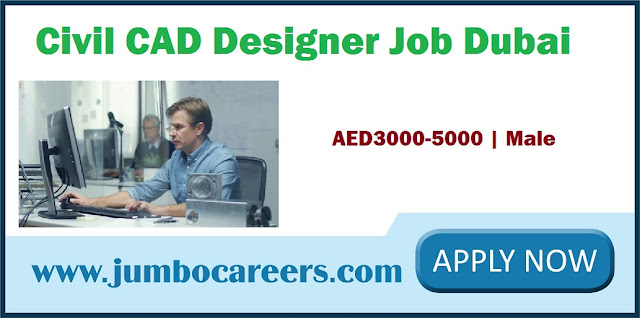 Civil CAD Designer Job 