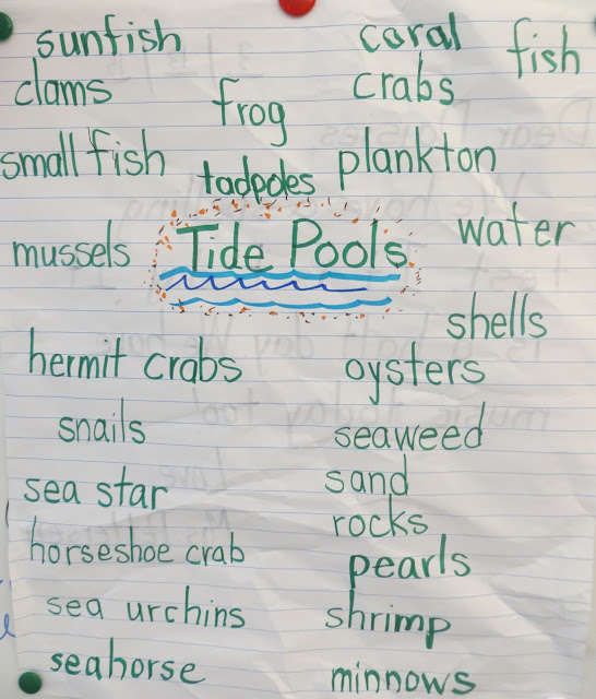 Brainstorm and list animals and plant life that can be found in tidepools.