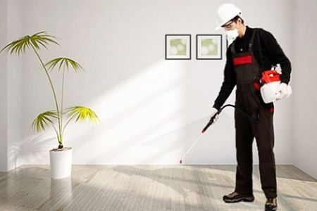 Company-kill-insects-at-home-5 Company-kill-insects-at-home-5