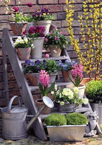 garden ideas pinterest