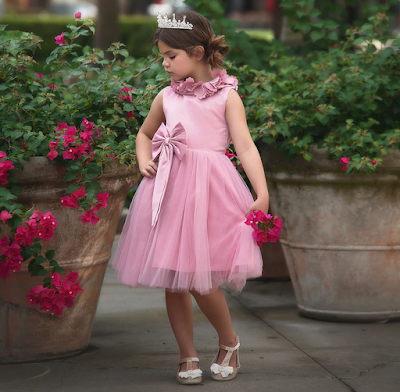 Where to Find Amazing Little Girl Wedding Dresses on a Small Budget?