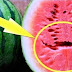 DO YOU LOVE WATERMELONS?? IF YOU SEE THIS SPLIT INSIDE WATERMELON THROW IT RIGHT AWAY!!! HERE’S WHY..