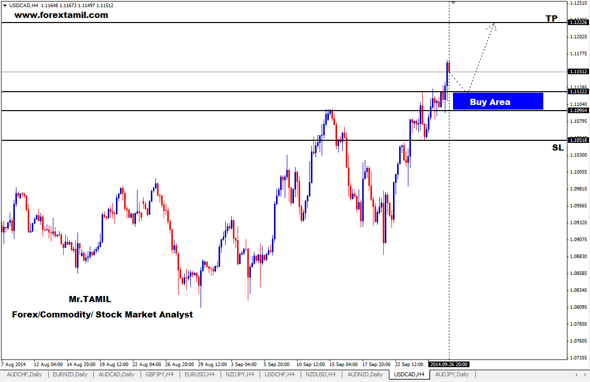 Forex robot zdarma