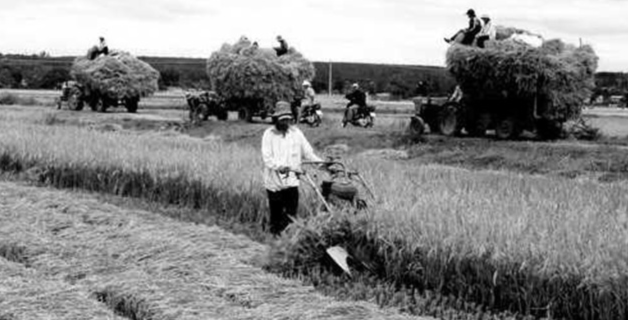 Image result for Cải cách Äiá»n Äá»a dưá»i thá»i Viá»t Nam Cá»ng Hòa