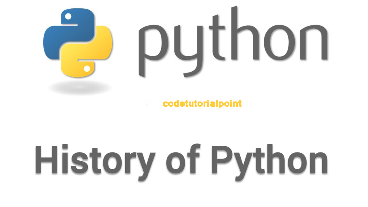 Python service. Any в питоне. Python shop.
