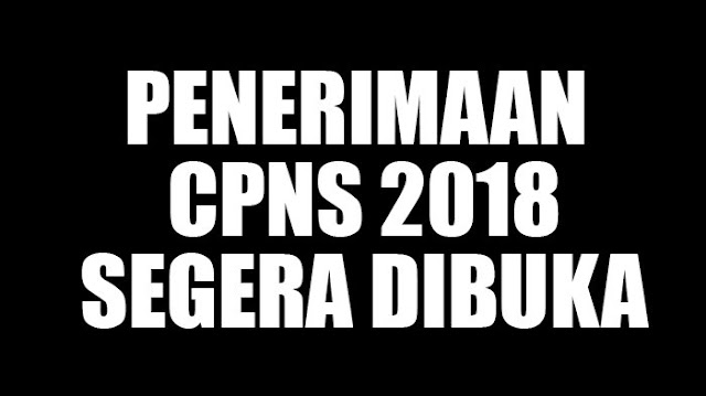 PENERIMAAN CPNS 2018