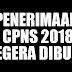 PENERIMAAN CPNS 2018 UNTUK FORMASI DAERAH DIBUKA TAHUN 2018