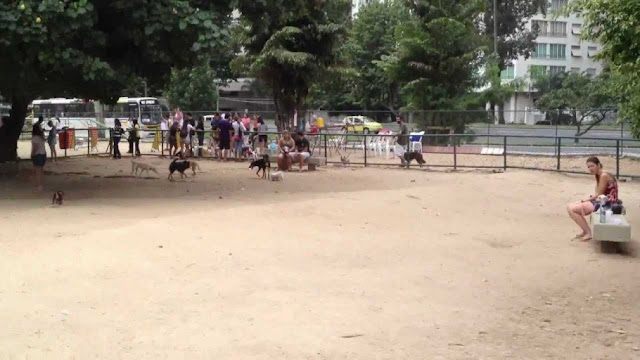 Lugares para passear com o shih tzu em SP-RJ-BH-SALVADOR