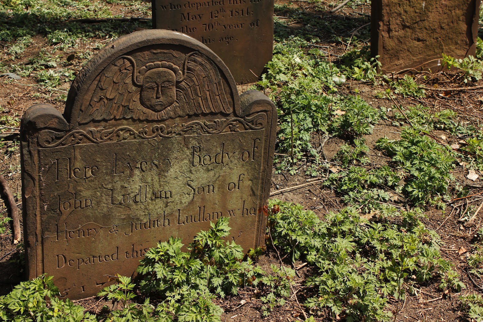One More Folded Sunset Jamaica Prospect Cemetery & Rufus King Manor