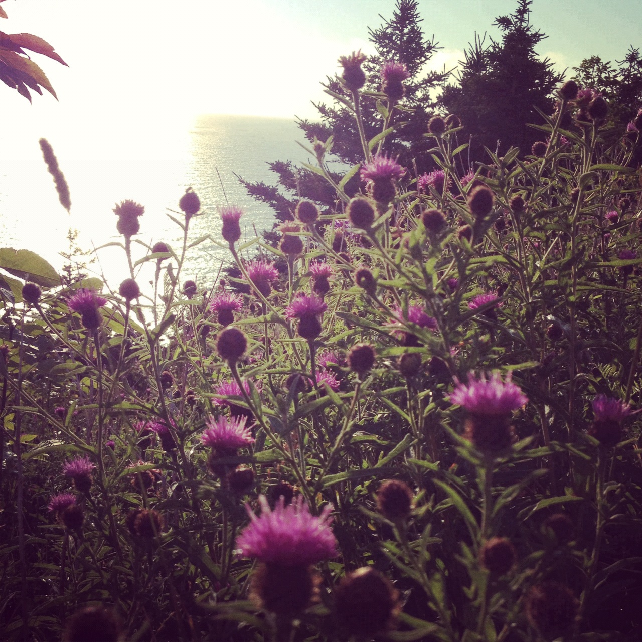 Lord Frewbe Presents GRAND TOUR Nova Scotia, Canada