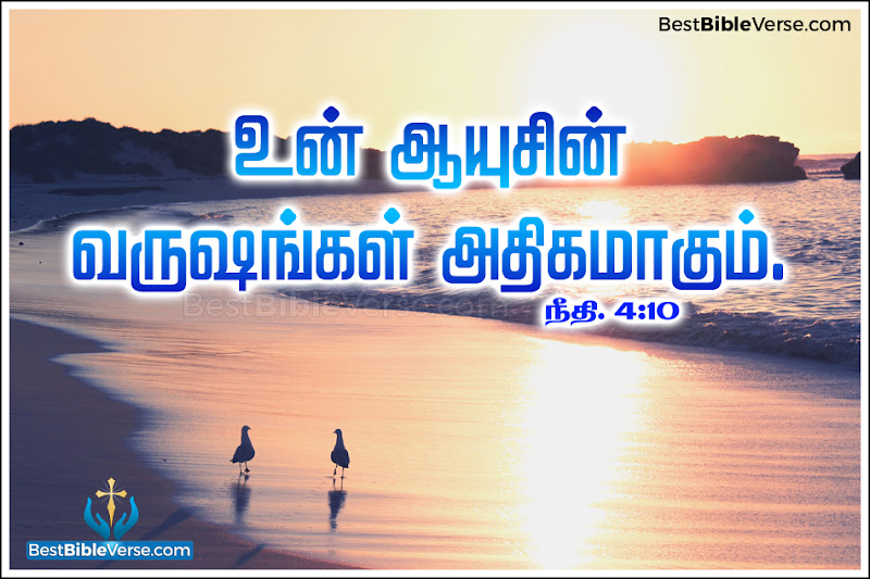 latest tamil bible study