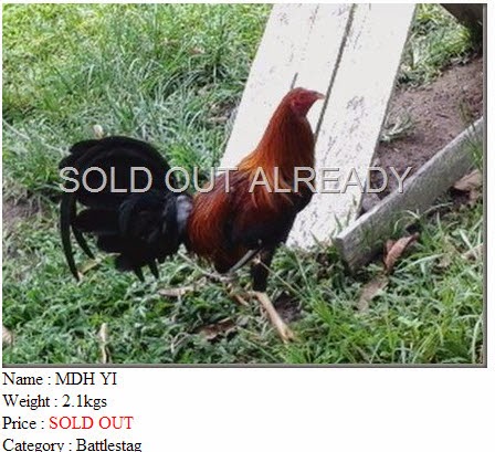 MDH YI SOLD OUT