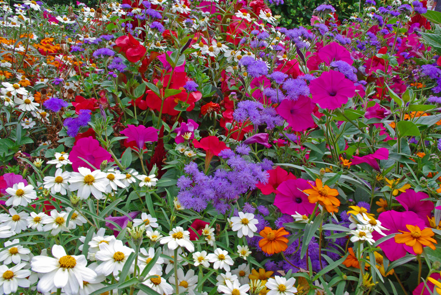 Boise, Idaho October 2011