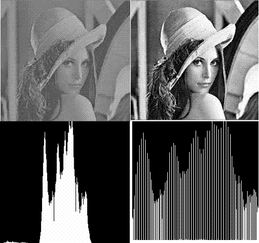 Рикардо гонсалес художник. Гонсалес обработка изображений. Илона гонсалес. История обработки изображения. Гонсалес обработка изображений.