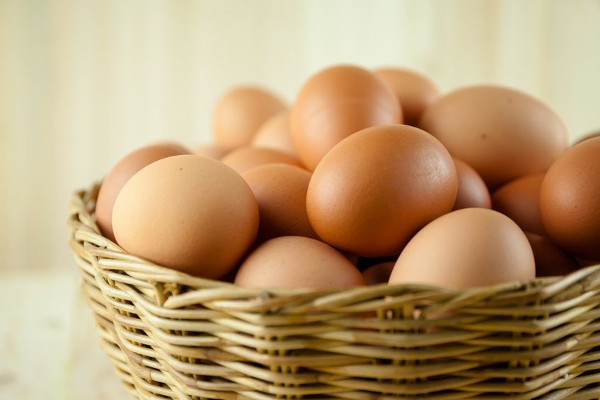  kandungan telur ayam ras