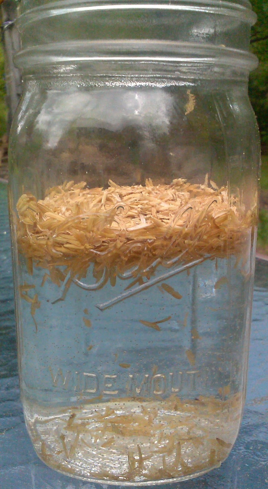 Vertical Eco Garden Rice Hulls... Sink or swim?