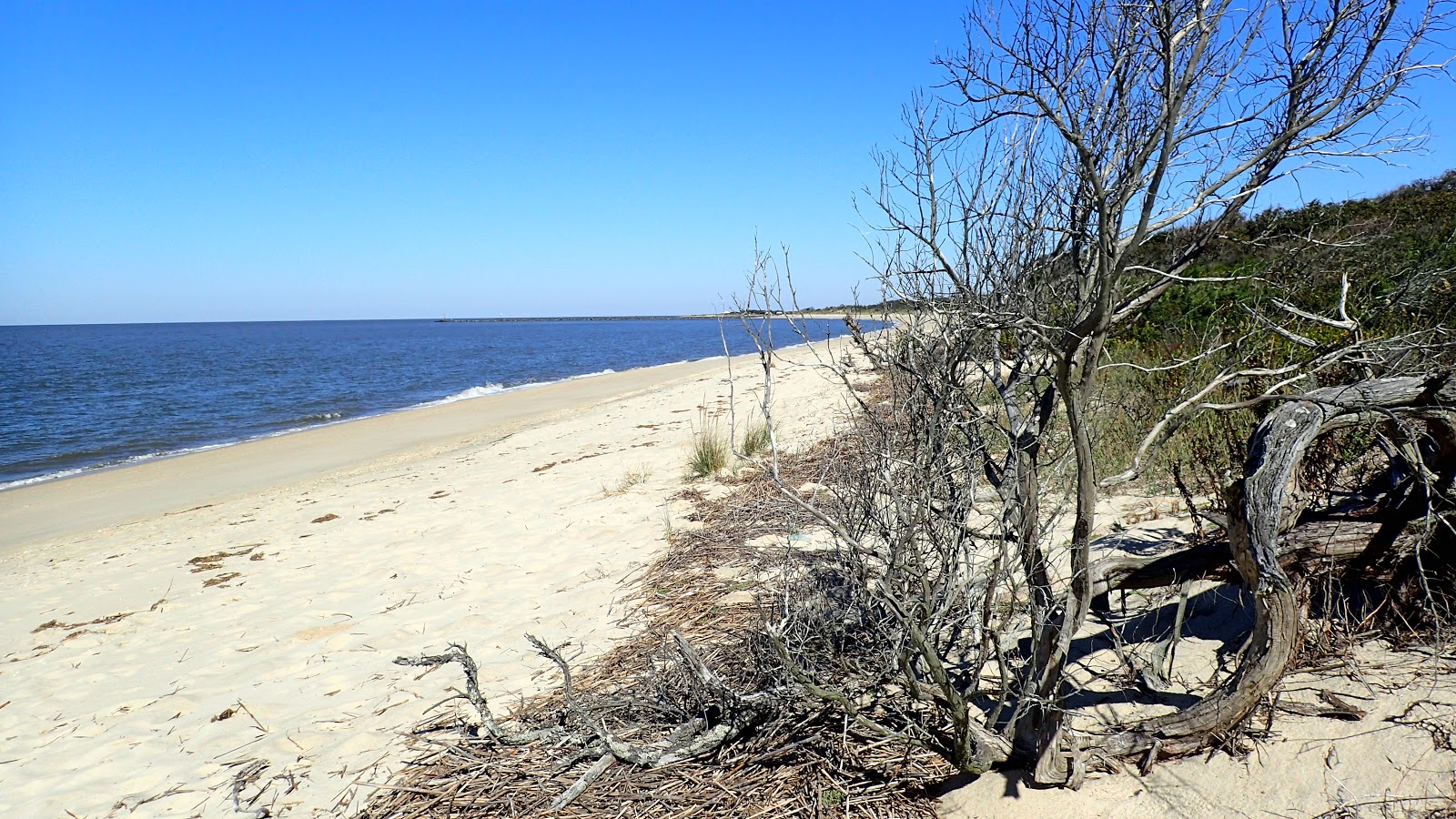 The Continuing Adventures of Eric, Noelle and Sierra Higbee Beach