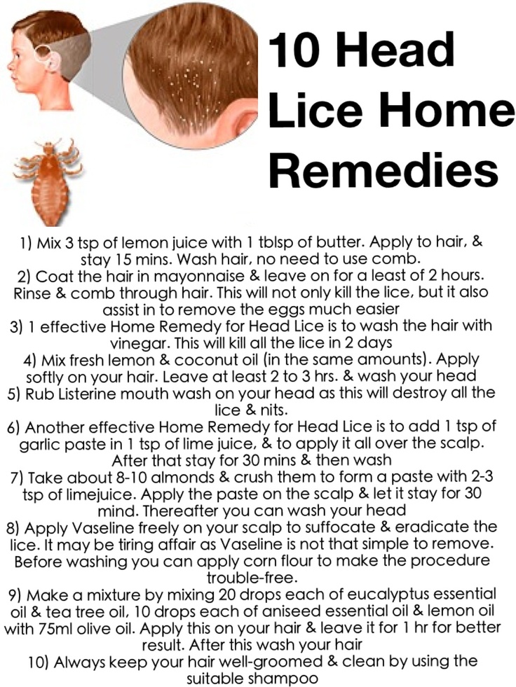 how long after lice treatment will itching stop