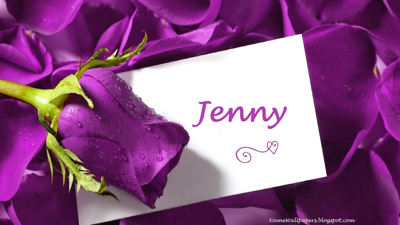 Jenny Name Wallpapers Jenny Name Wallpaper Urdu Name Meaning Name jenny-name-wallpapers-jenny-name-wallpaper-urdu-name-meaning-name