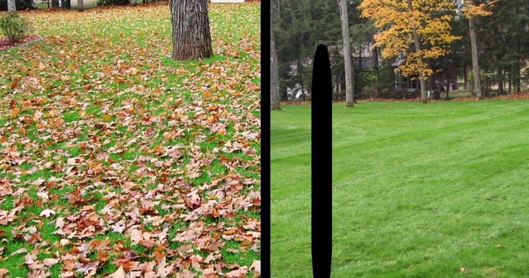 Team Thayer Property Servicing