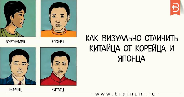 Японцы китайцы и корейцы отличия. Японец от китайца. Как отличить китайскую. Китайцы корейцы и японцы. Как отличить китайскую.