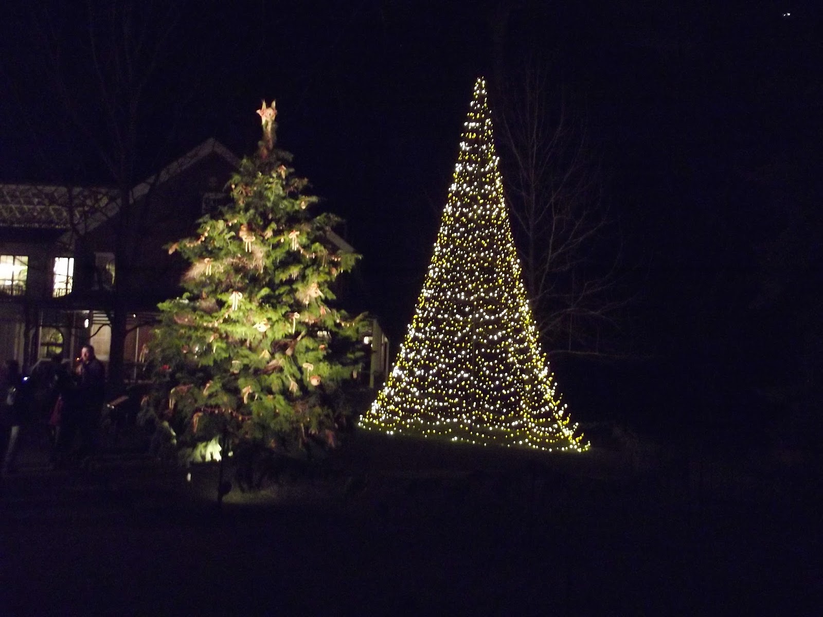 Christmas Light Displays in the Area Fun Things To Do With Kids