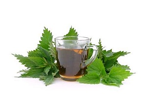 Ceaiul-decoct din plante medicinale Ceaiul-decoct din plante medicinale
