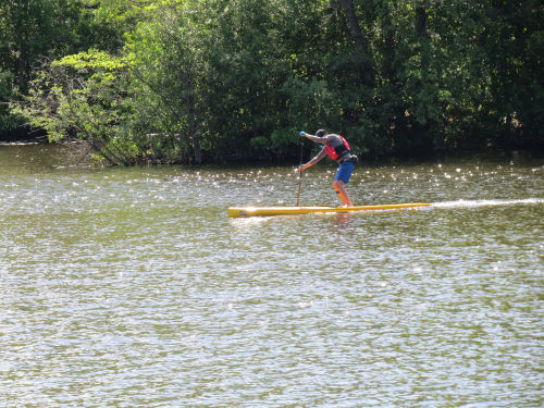 Paddleboard on Huron River