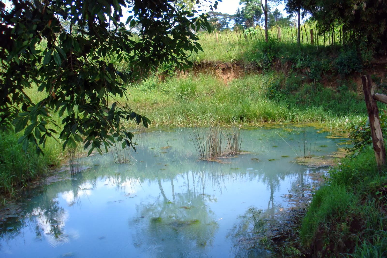 Jon and Marianne Hunter in Kenya Tilapia Fish Farm Ponds