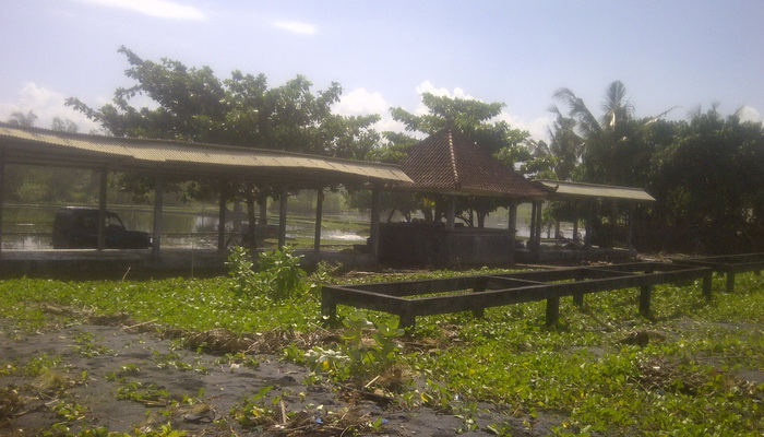 Diterjang Abrasi, Tempat Melasti dan Wisata di Delod Berawah Terancam