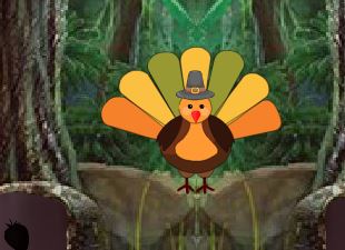 8BGames Turkey Escape Walkthrough