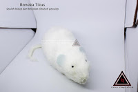 Jual alat sulap boneka tikus Jual alat sulap boneka tikus