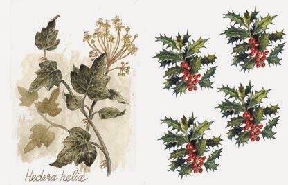 Mon école FLE: Symbole de Noël: Le houx Mon école FLE: Symbole de Noël: Le houx