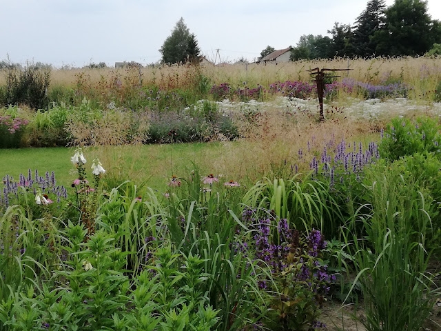 rabata preriowa, perennial border, trawy w ogrodzie