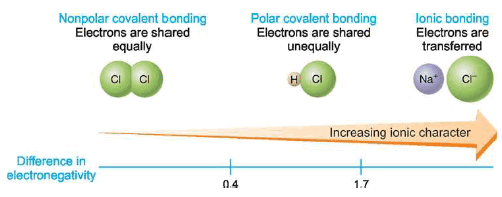 Polar Covalent Bond: Definition, Properties, Examples