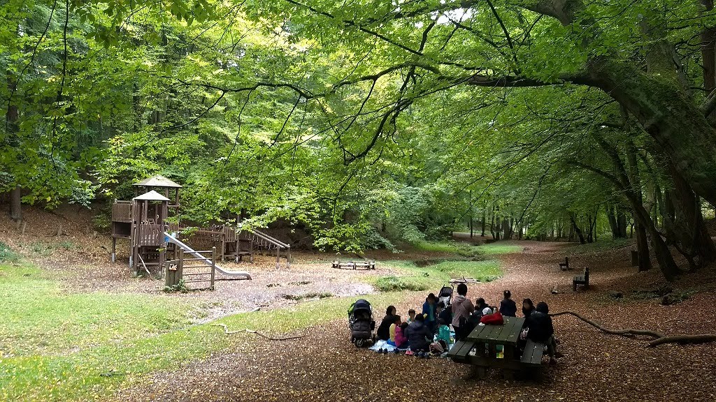 2017年10月4日(水)ソワーニュの森オーデルゲム入口の活動報告