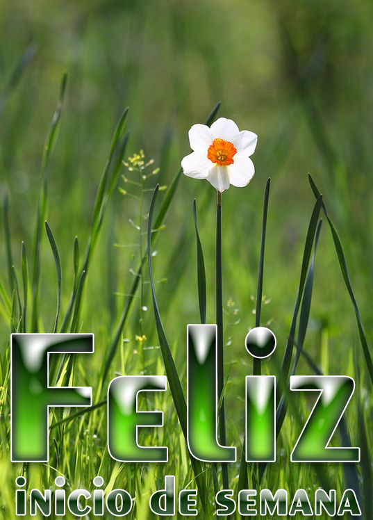 Afbeeldingsresultaat voor bella semana para todos