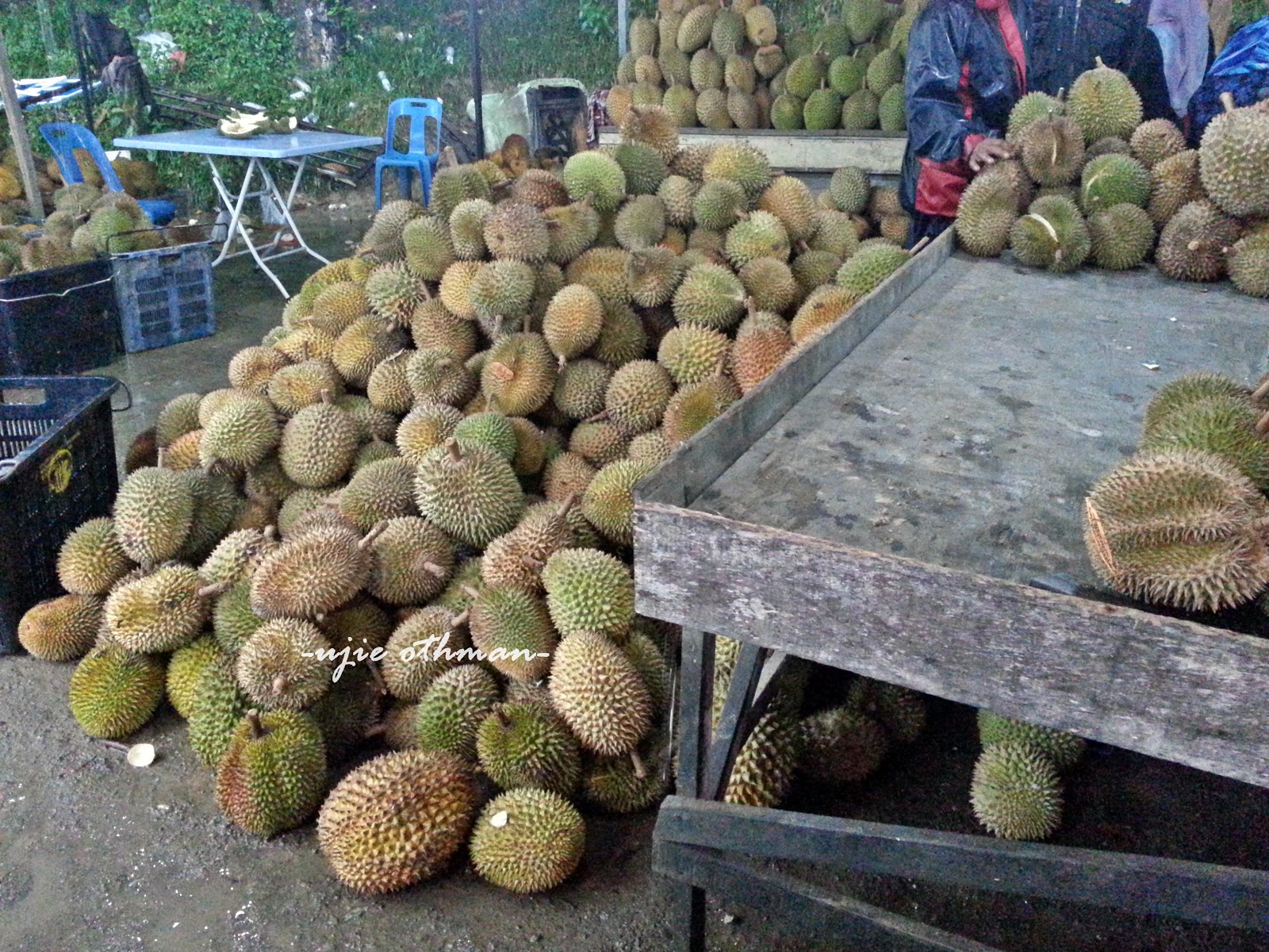 Titian Perjalanan Durian  IOI D168