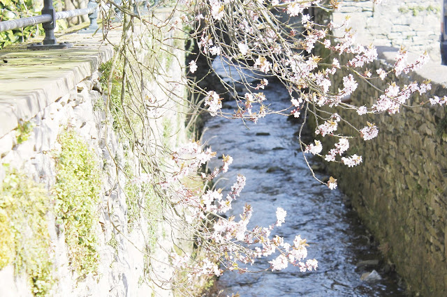 Spring Lake District town blog tour, where I live Spring Lake District town blog tour, where I live
