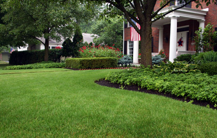 flowers for flower lovers.: Lawn garden designs.