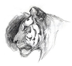 drawings animal animals epic reference drawing sketches draw sketching basic marker awesome creature study amazing