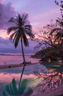 A picture of the infinity pool and beach with a reflection of the sunset and trees at the Apulit Island Resort in the Philippines.