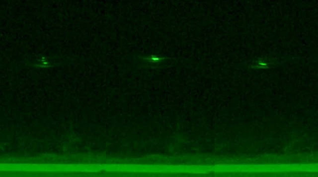UFO News ~  Strange things spotted in the skies over Hawaii and Germany plus MORE Strange%2Bthings%2Bskies%2BHawaii%2BGermany%2B%25283%2529