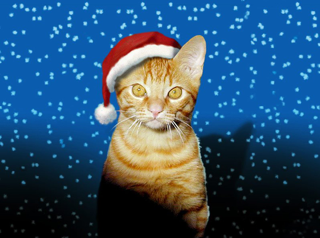 ÉVEIL IMPERSONNEL et approches non-duelles: • Noël ÉVEIL IMPERSONNEL et approches non-duelles: • Noël