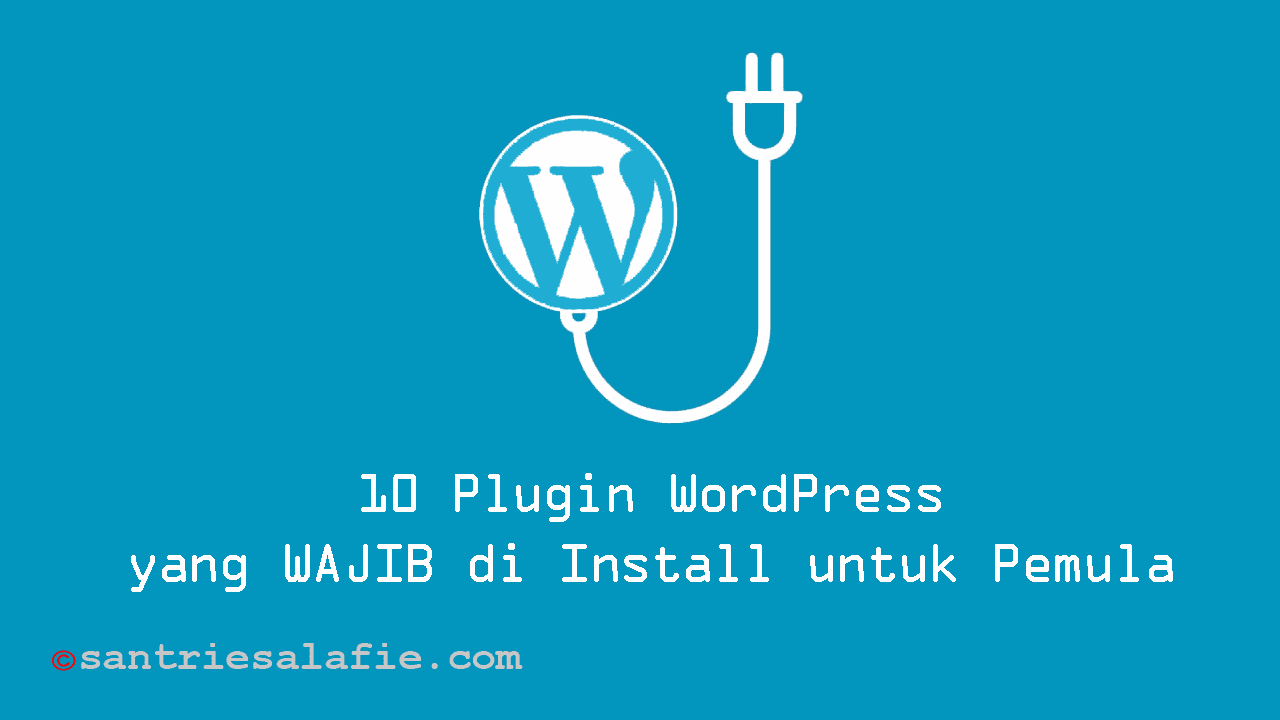 10 Plugin WordPress yang WAJIB di Install untuk Pemula by Santrie Salafie